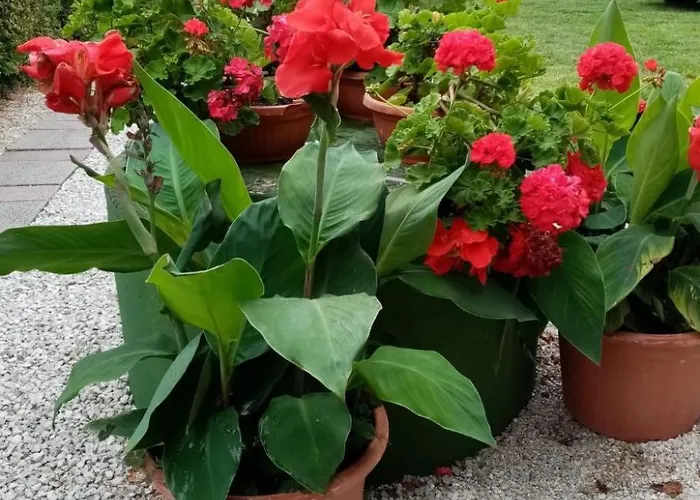 דירה Am By Interhome Balatonmáriafürdő